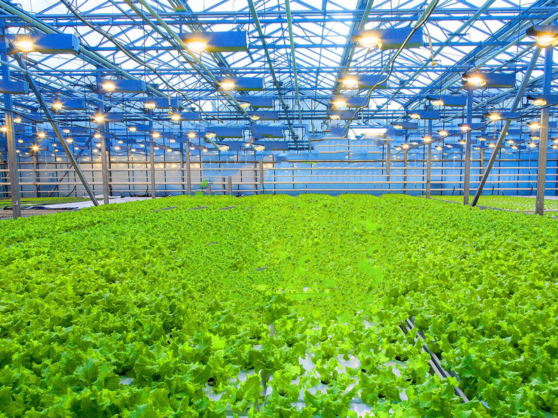 智能溫室